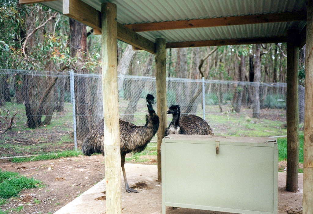 2000 - Australie 122G.jpg